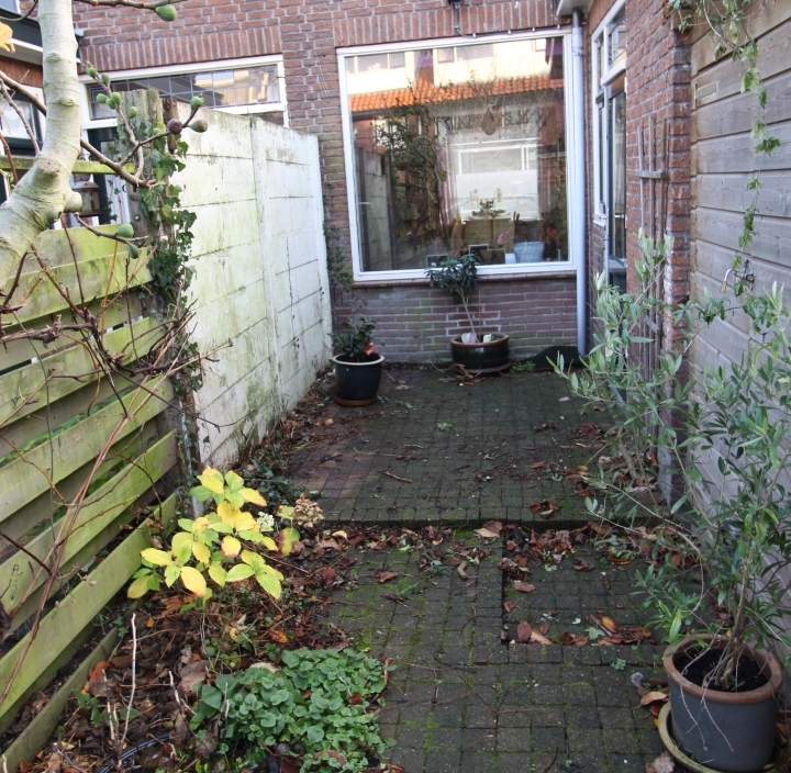 Verbouwing voorbereiding tuin achtergevel;